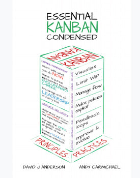 Essential Kanban Condensed - Chinese