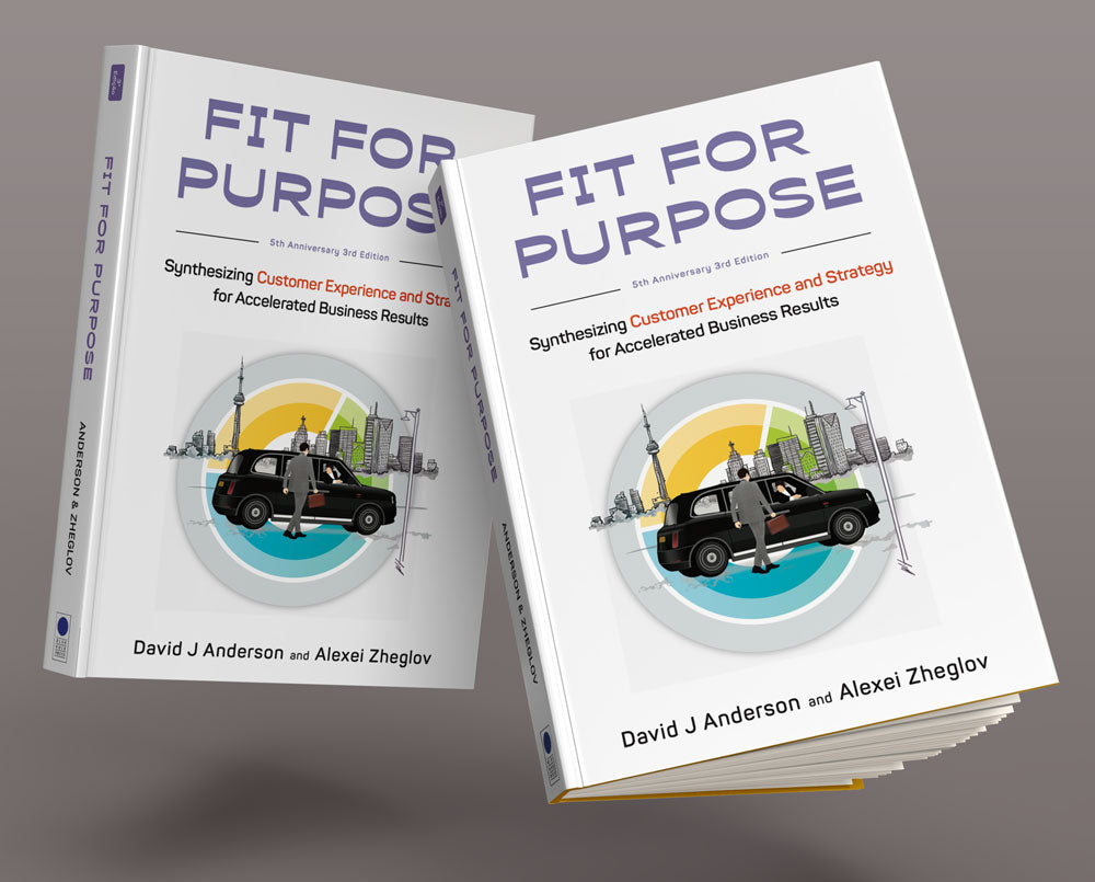 Fit for Purpose: Synthesizing Customer Experience with Strategy for Accelerated Business Results (Print Paperback)